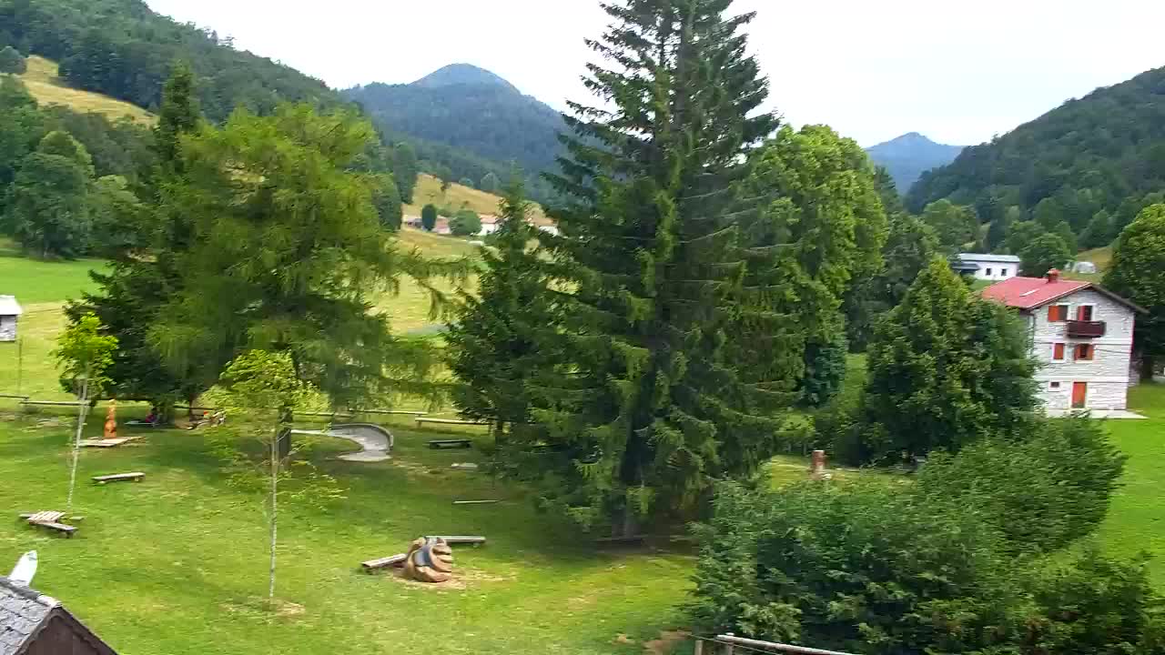 Webcam Lokve – La beauté de la forêt de Trnovo