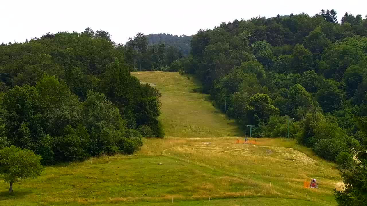 Camera en vivo Lokve – La belleza del bosque de Trnovo