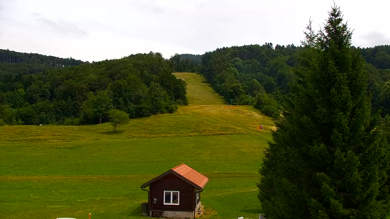 Camera en vivo Lokve – La belleza del bosque de Trnovo