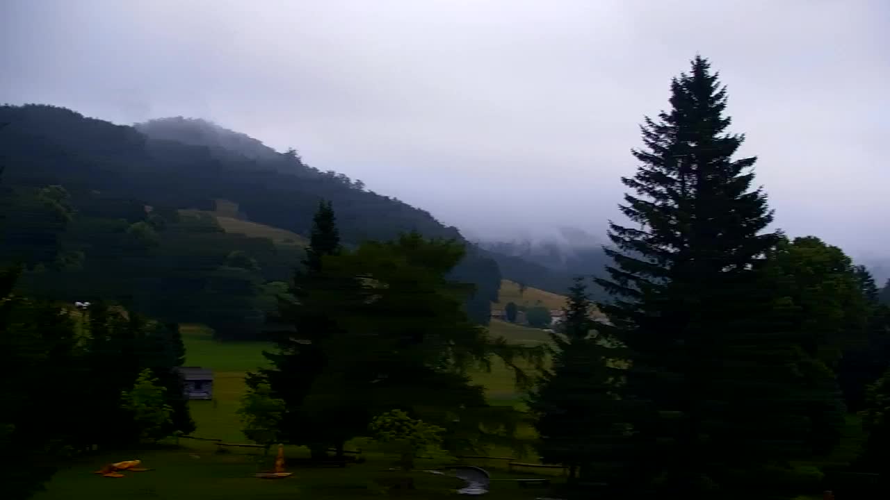Webcam Loqua / Lokve – La bellezza della selva di Tarnova