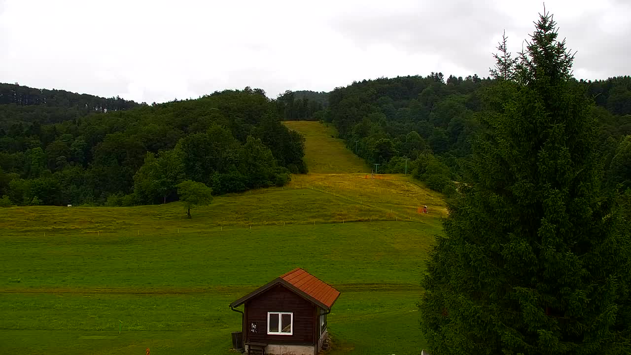 Webcam Loqua / Lokve – La bellezza della selva di Tarnova