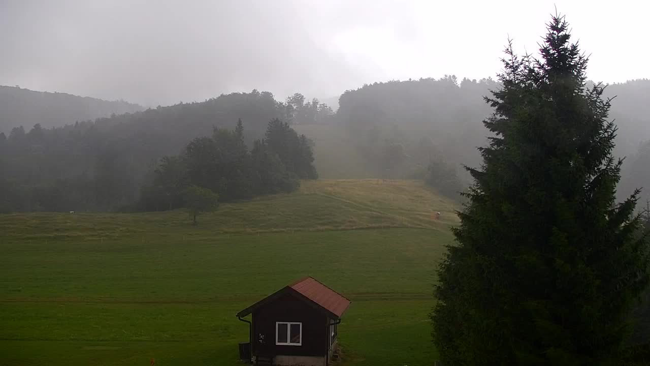 Webcam Lokve – The beauty of the Trnovo forest