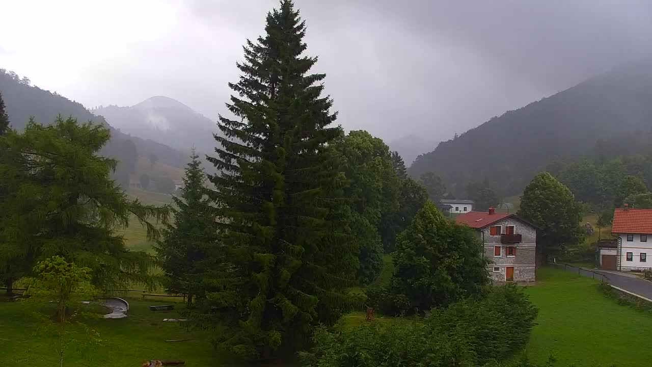 Webcam Lokve – The beauty of the Trnovo forest