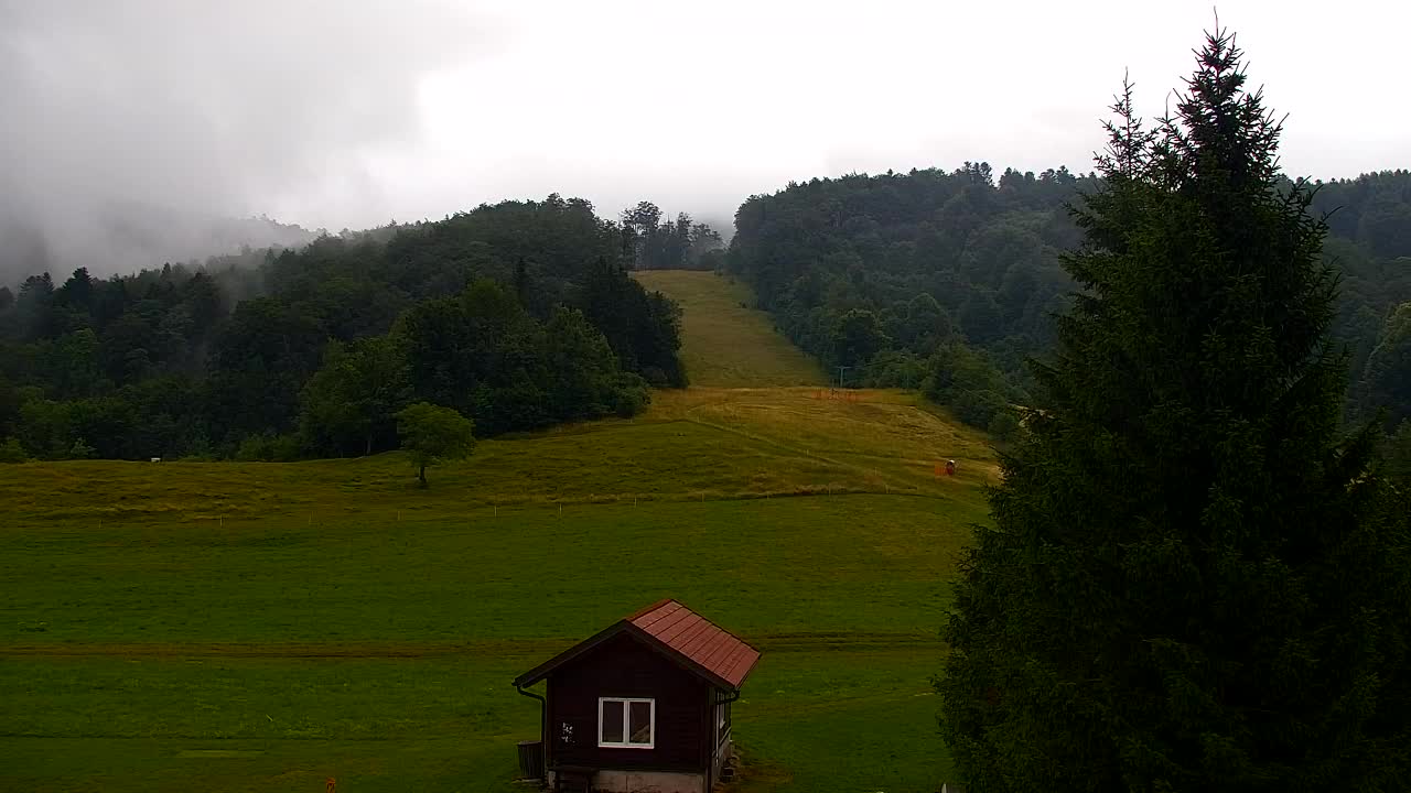 Webcam Loqua / Lokve – La bellezza della selva di Tarnova