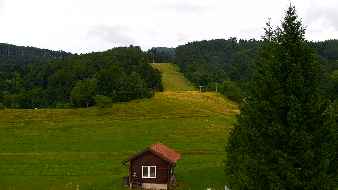 Webcam Lokve – La beauté de la forêt de Trnovo
