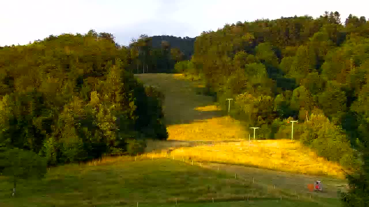 Webcam Lokve – The beauty of the Trnovo forest