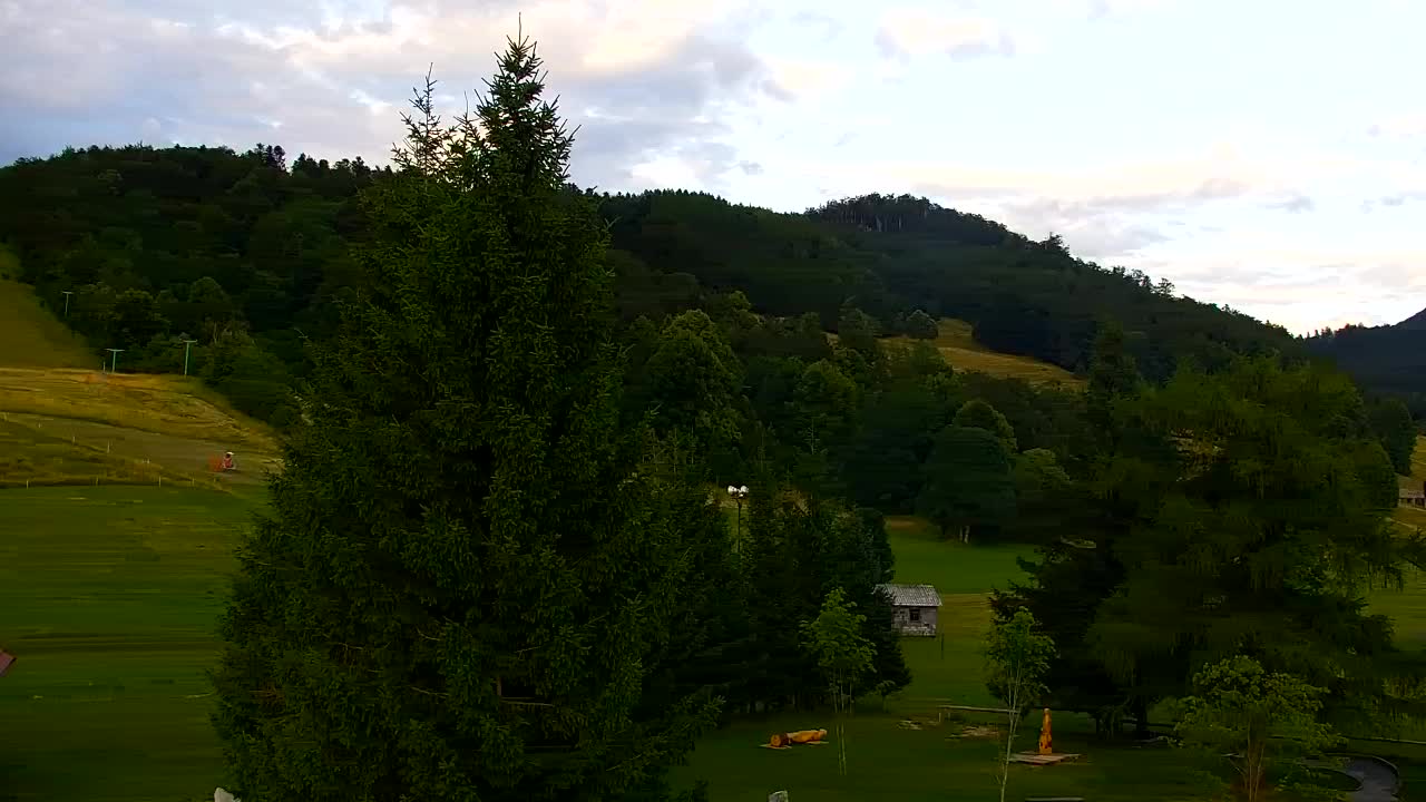 Webcam Lokve – La beauté de la forêt de Trnovo