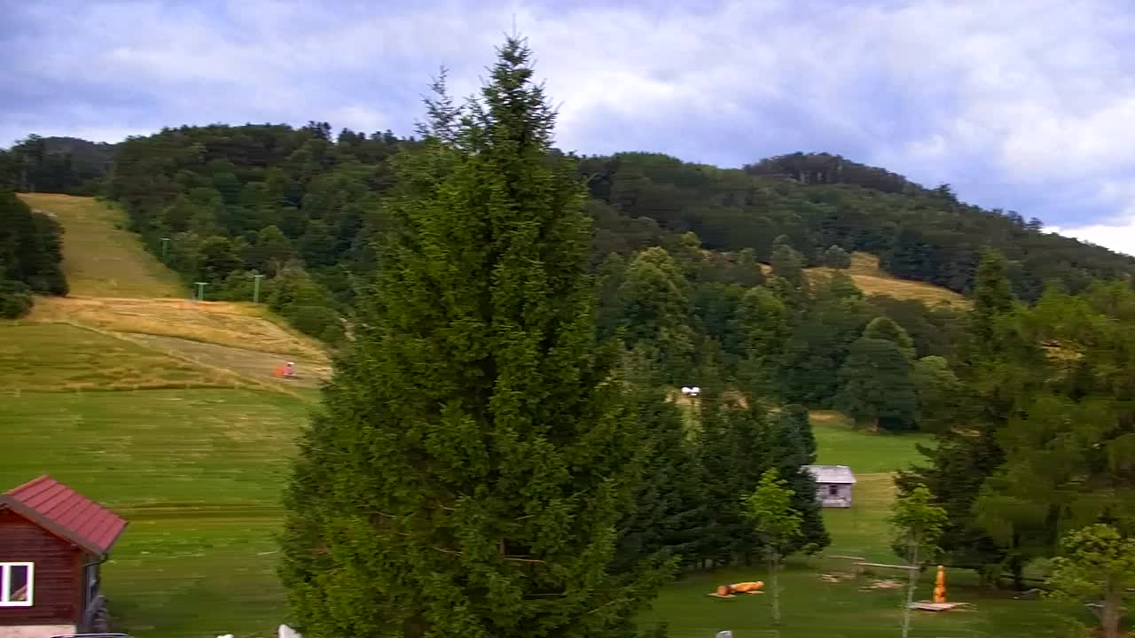Webcam Lokve – The beauty of the Trnovo forest