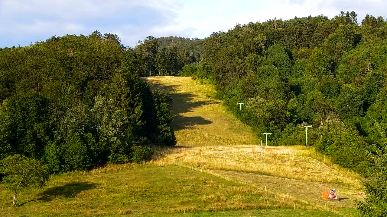 Webcam Loqua / Lokve – La bellezza della selva di Tarnova