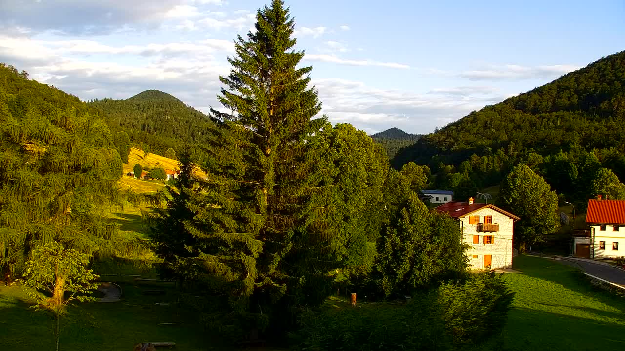 Webcam Lokve – La beauté de la forêt de Trnovo