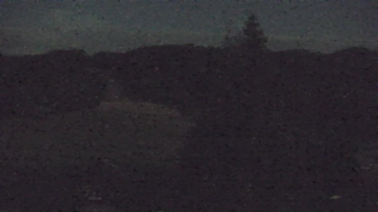 Webcam Lokve – La beauté de la forêt de Trnovo