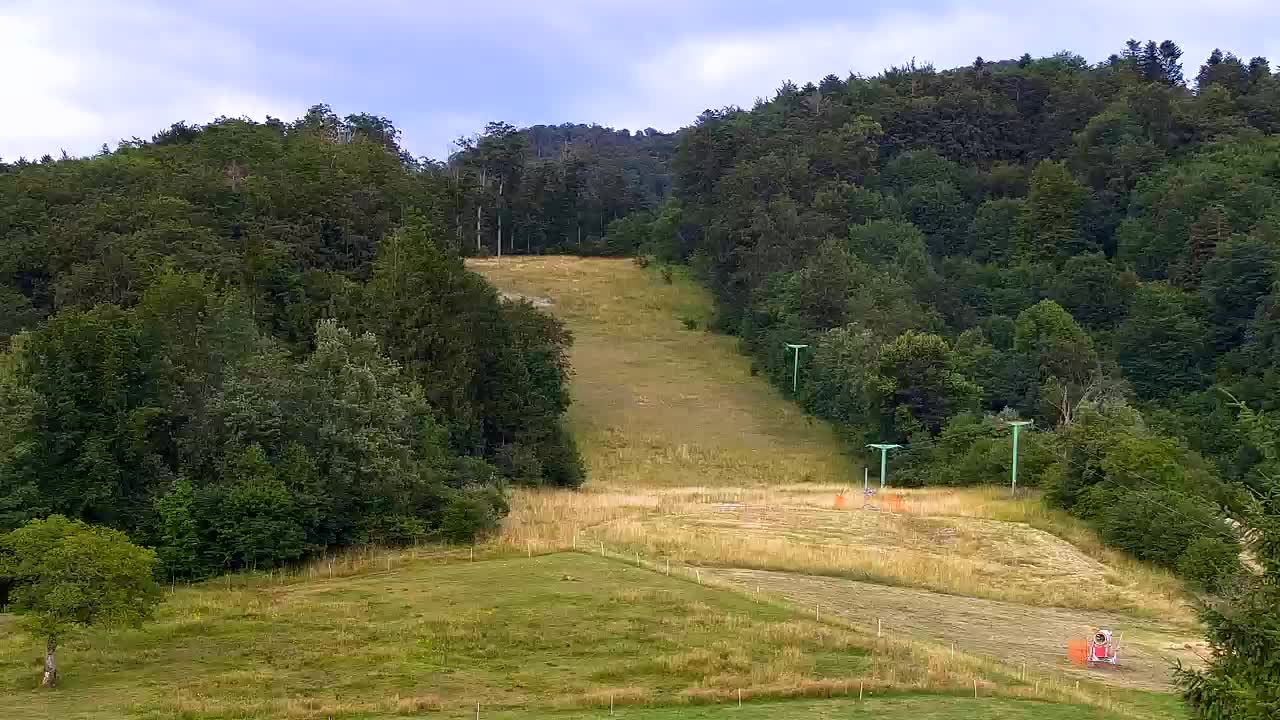 Webcam Loqua / Lokve – La bellezza della selva di Tarnova