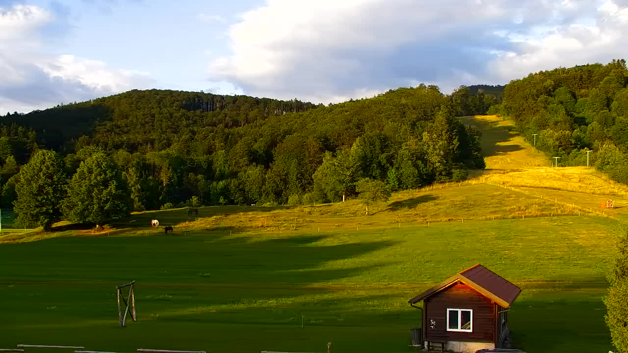 Camera en vivo Lokve – La belleza del bosque de Trnovo