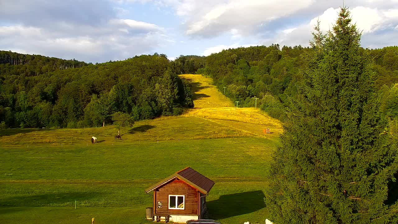 Webcam Lokve – La beauté de la forêt de Trnovo