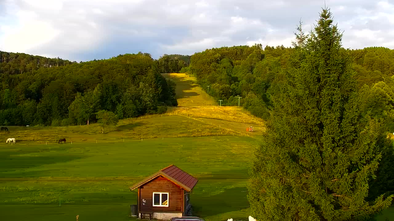 Webcam Lokve – La beauté de la forêt de Trnovo