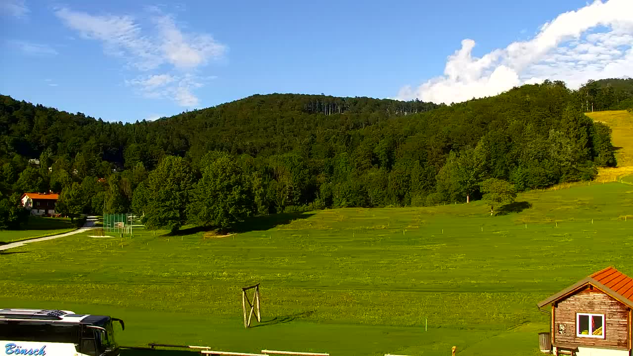 Webcam Loqua / Lokve – La bellezza della selva di Tarnova