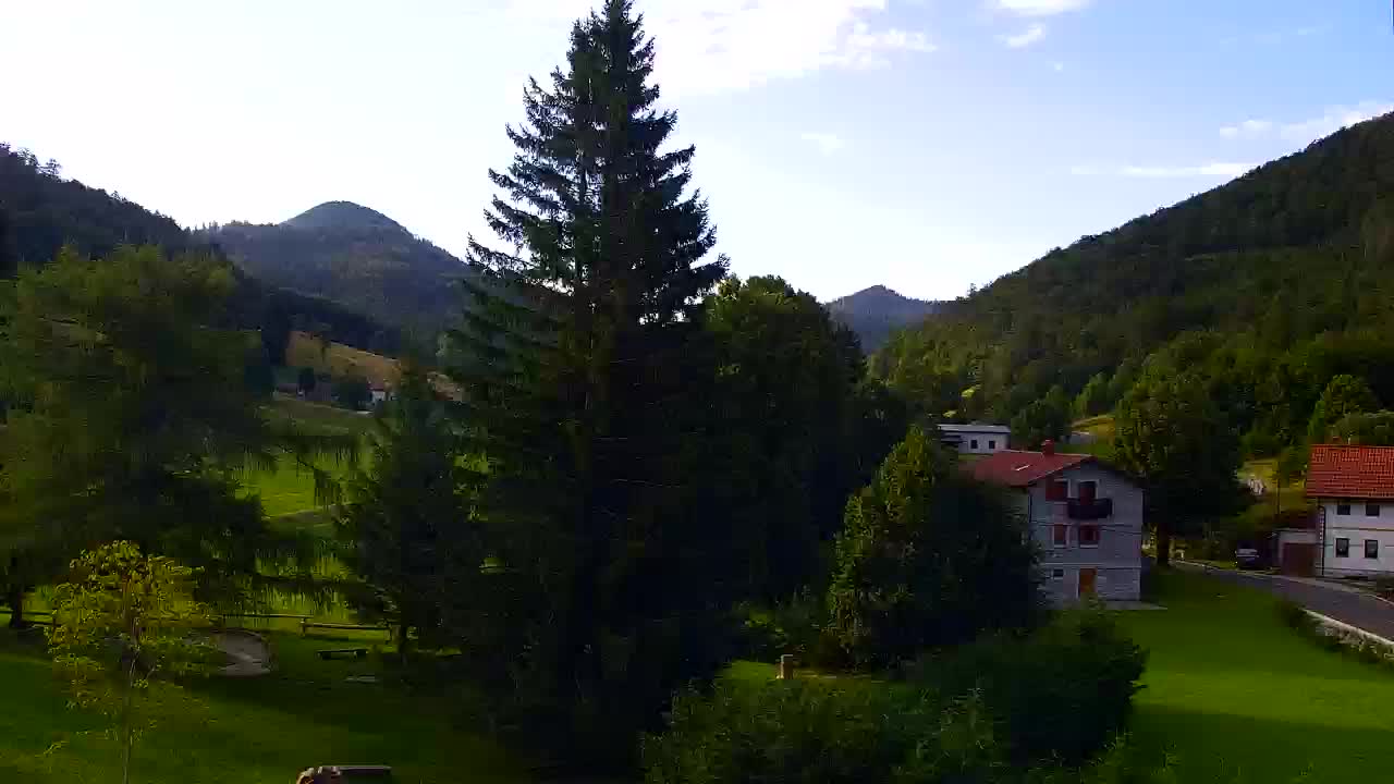 Camera en vivo Lokve – La belleza del bosque de Trnovo