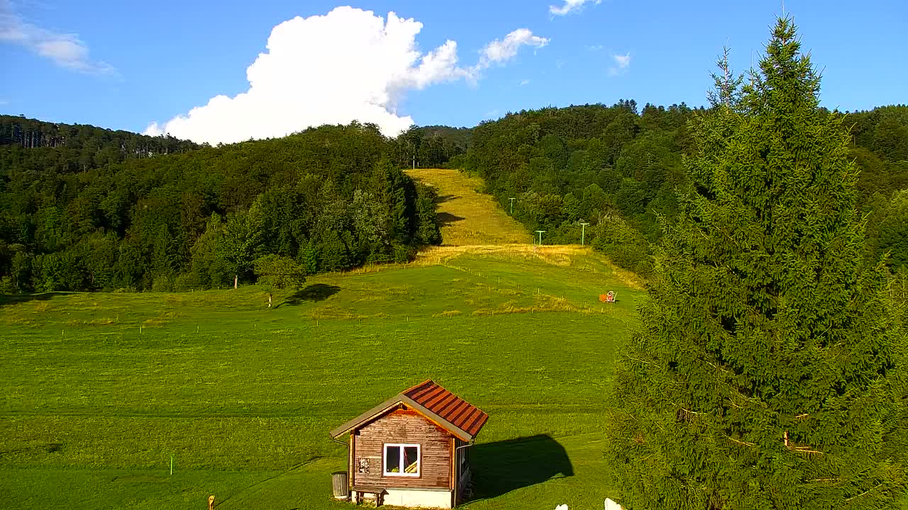 Webcam Lokve – La beauté de la forêt de Trnovo