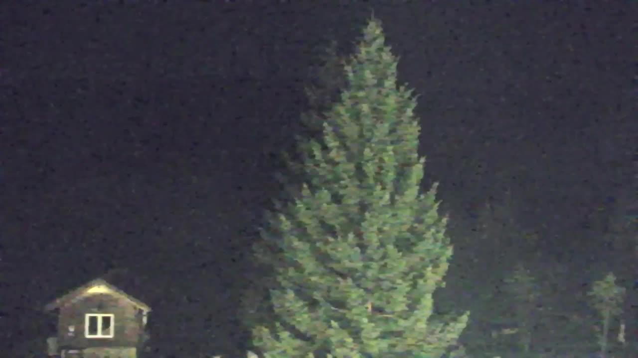 Webcam Lokve – The beauty of the Trnovo forest