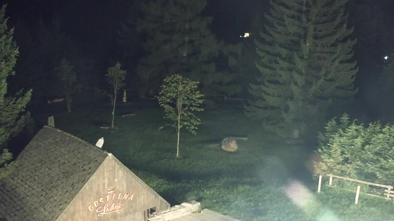 Webcam Loqua / Lokve – La bellezza della selva di Tarnova