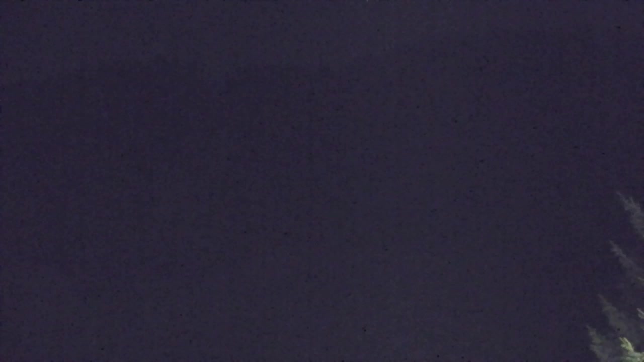 Webcam Lokve – Die Schönheit des Trnovo-Waldes