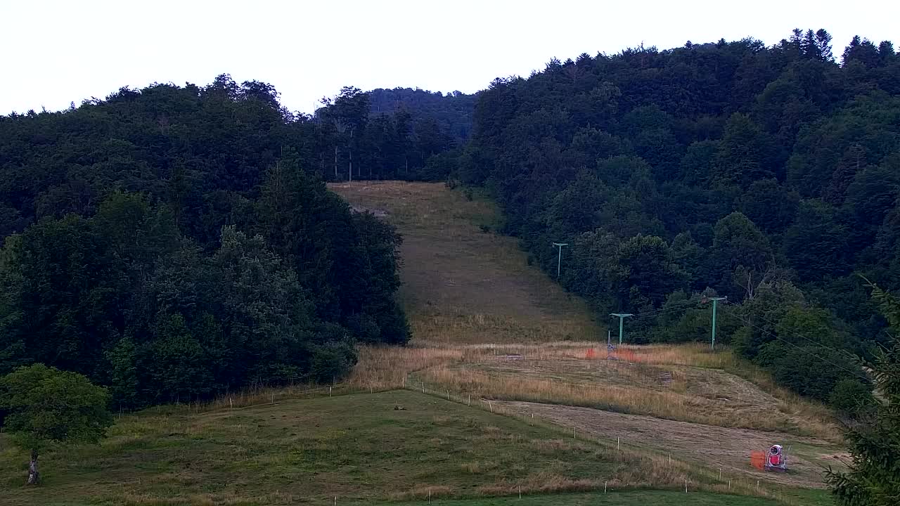 Webcam Lokve – The beauty of the Trnovo forest