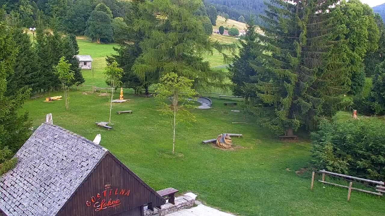 Webcam Lokve – The beauty of the Trnovo forest