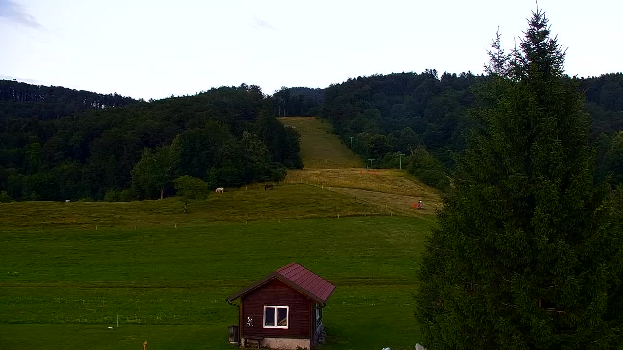 Webcam Lokve – The beauty of the Trnovo forest