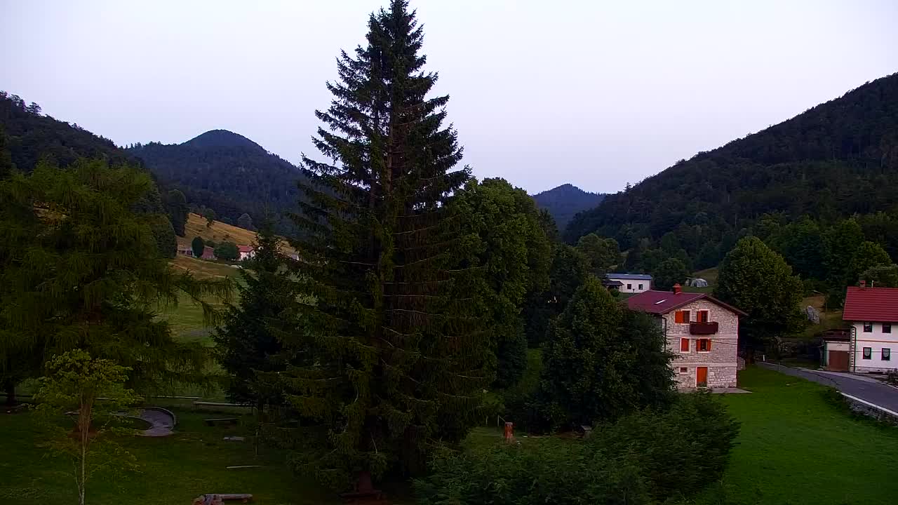 Webcam Lokve – The beauty of the Trnovo forest