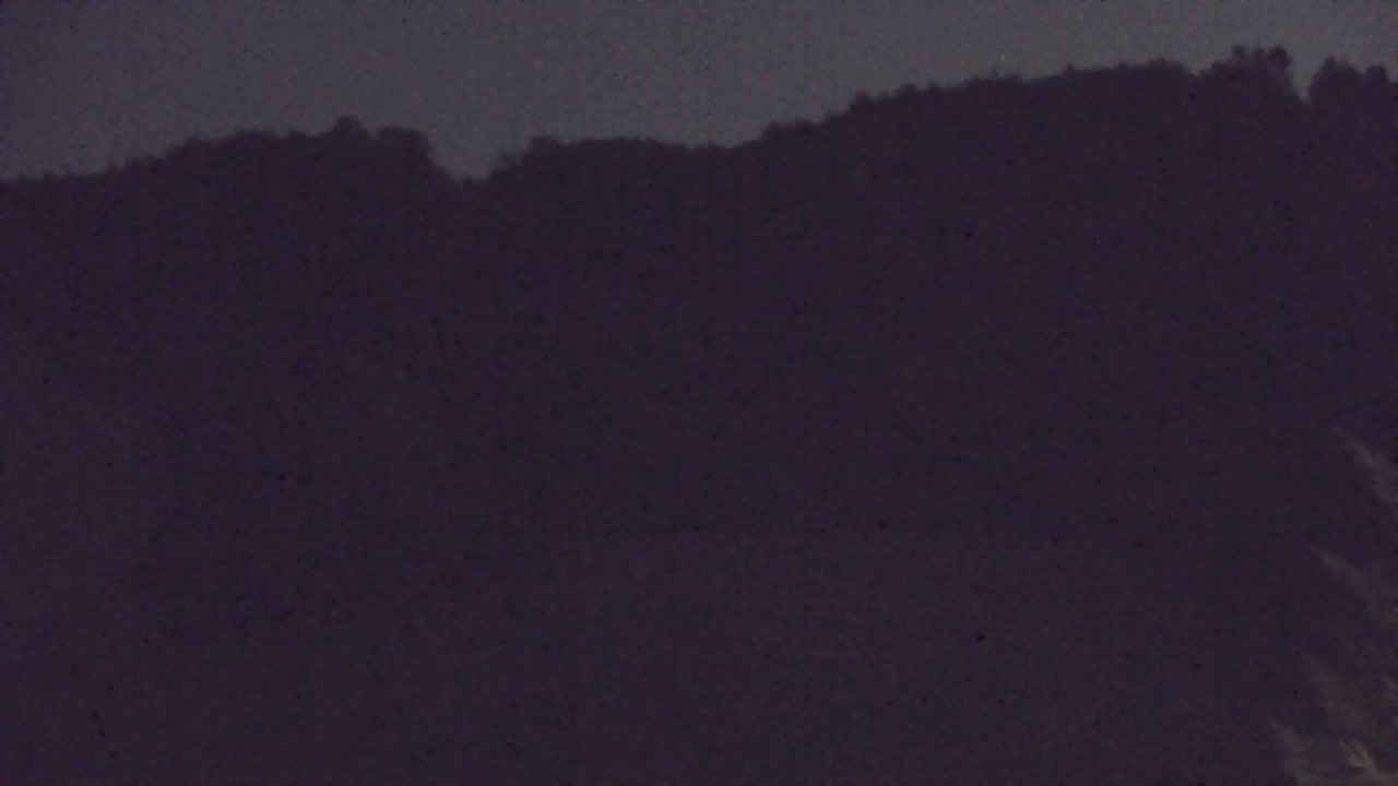 Camera en vivo Lokve – La belleza del bosque de Trnovo