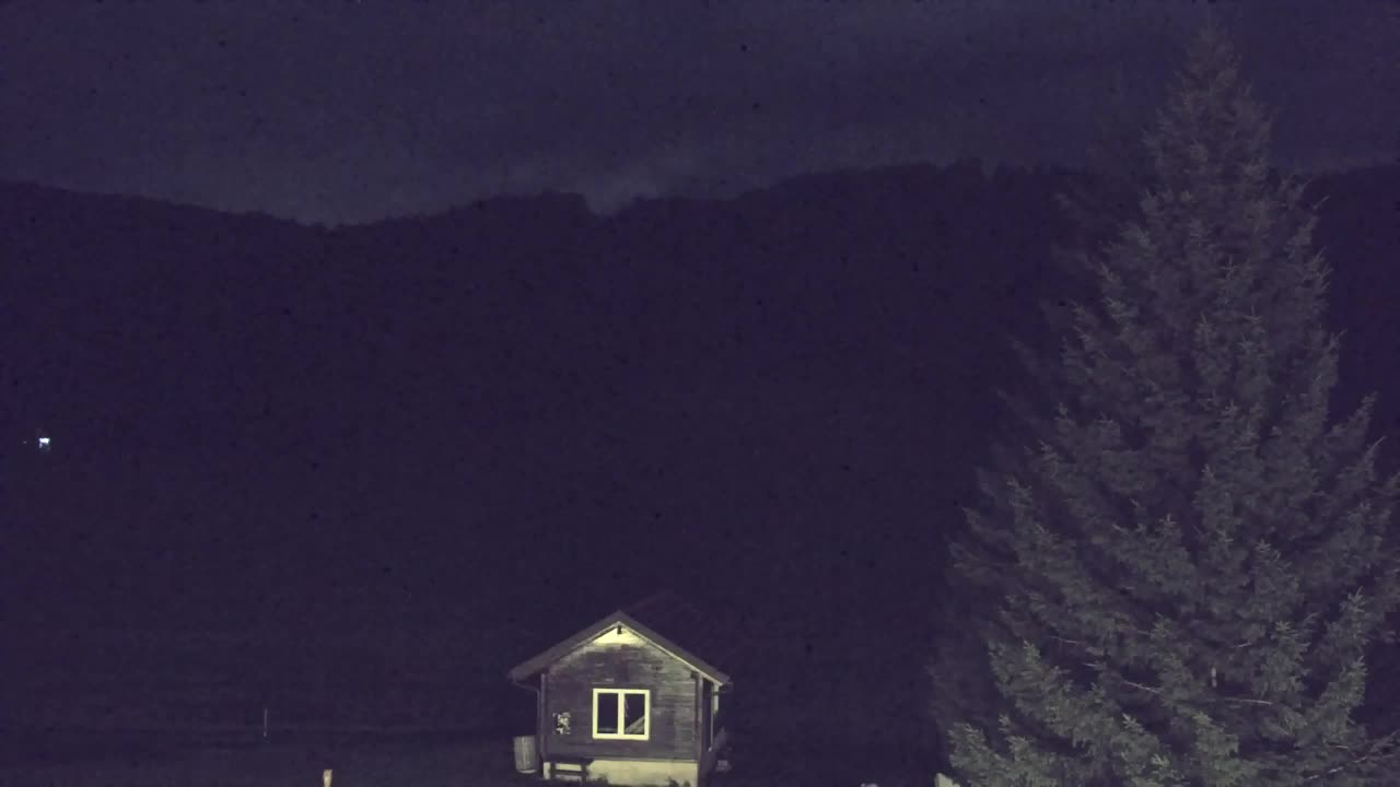 Webcam Loqua / Lokve – La bellezza della selva di Tarnova
