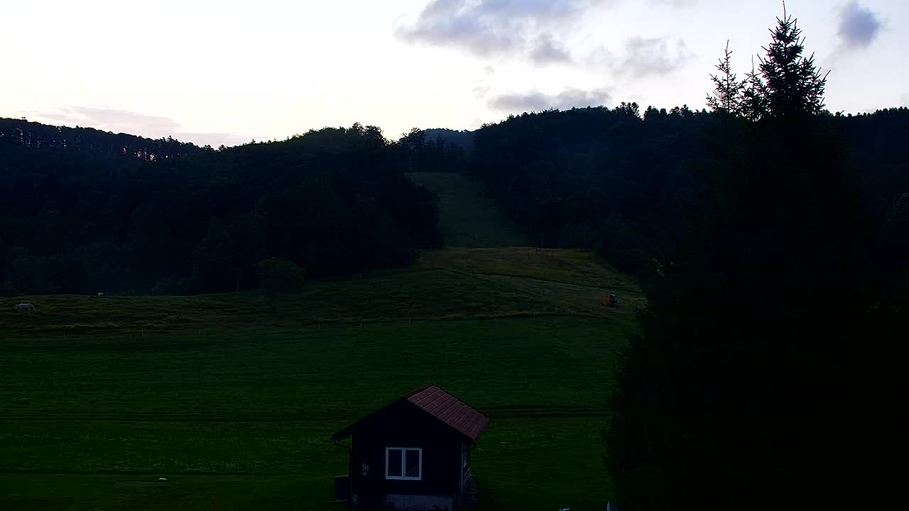 Webcam Lokve – La beauté de la forêt de Trnovo