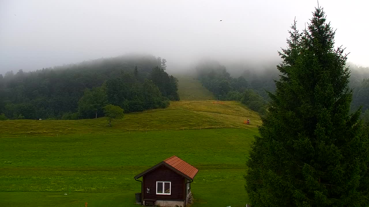 Webcam Lokve – Die Schönheit des Trnovo-Waldes