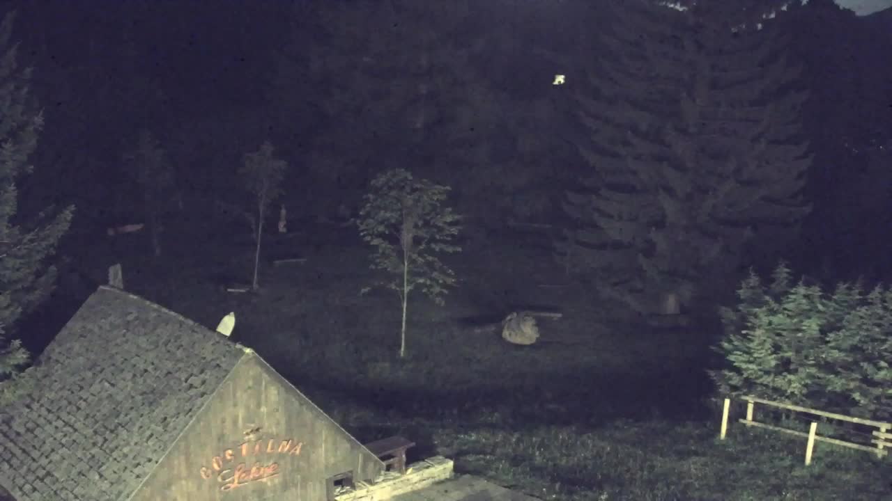 Camera en vivo Lokve – La belleza del bosque de Trnovo