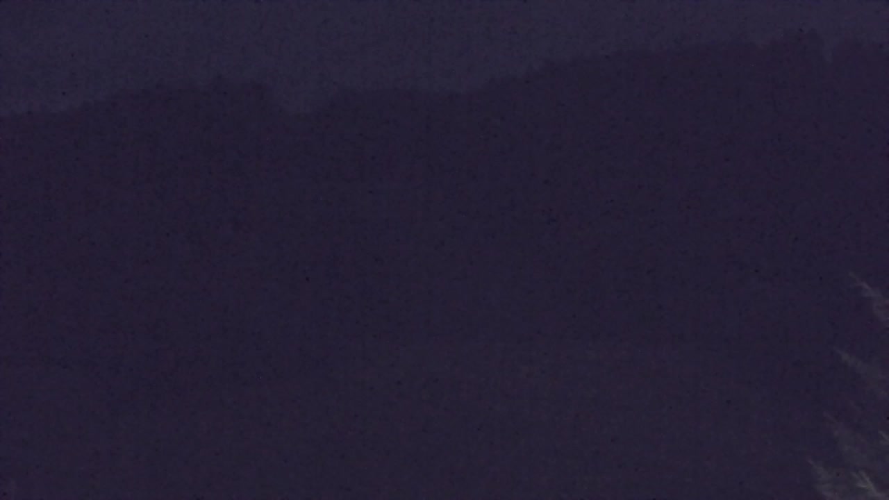 Webcam Lokve – La beauté de la forêt de Trnovo