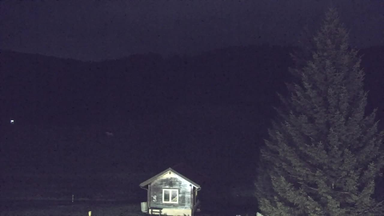 Webcam Lokve – The beauty of the Trnovo forest