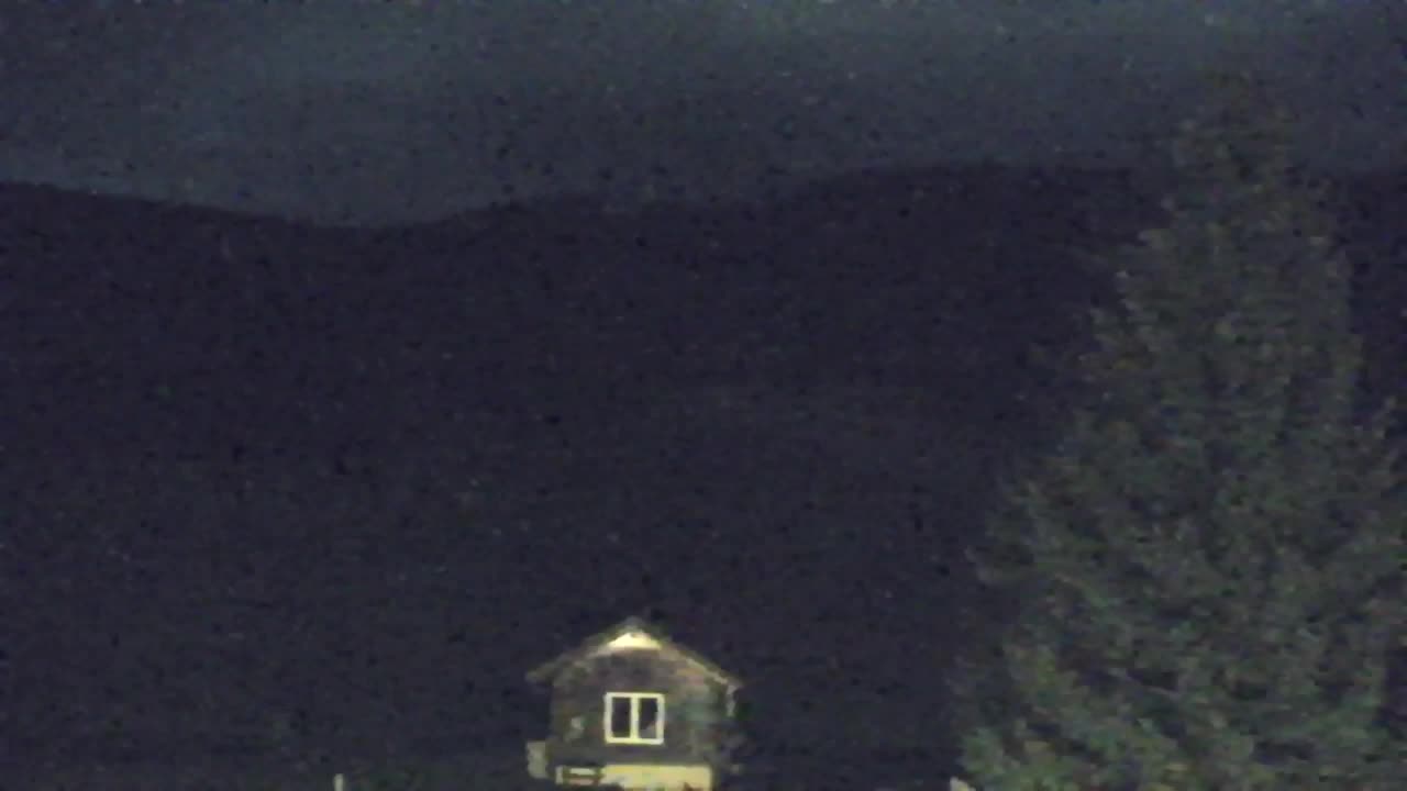 Webcam Lokve – The beauty of the Trnovo forest