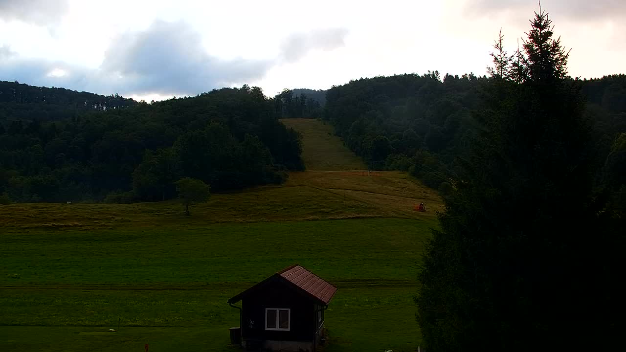 Webcam Loqua / Lokve – La bellezza della selva di Tarnova