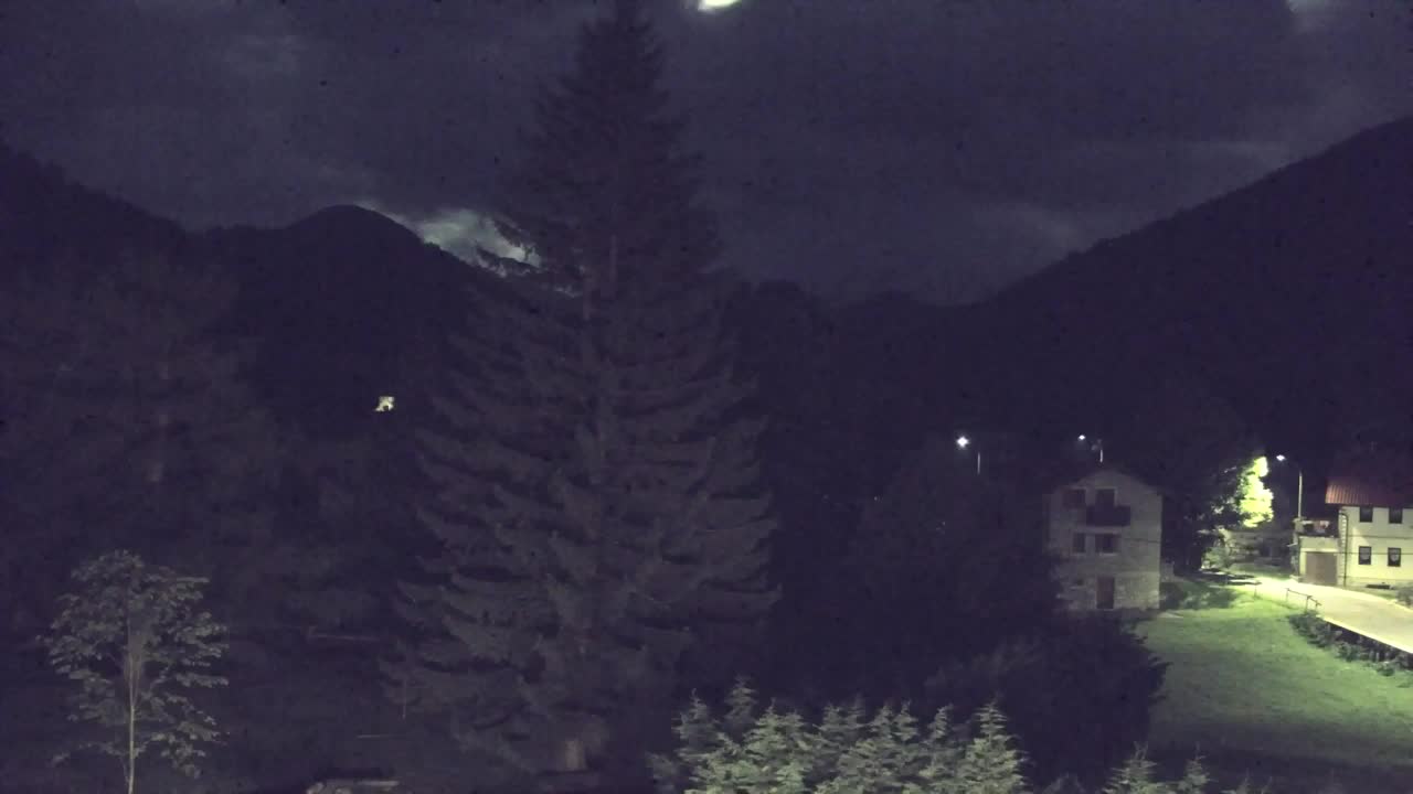 Webcam Loqua / Lokve – La bellezza della selva di Tarnova
