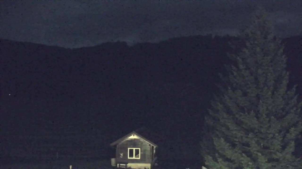 Webcam Loqua / Lokve – La bellezza della selva di Tarnova