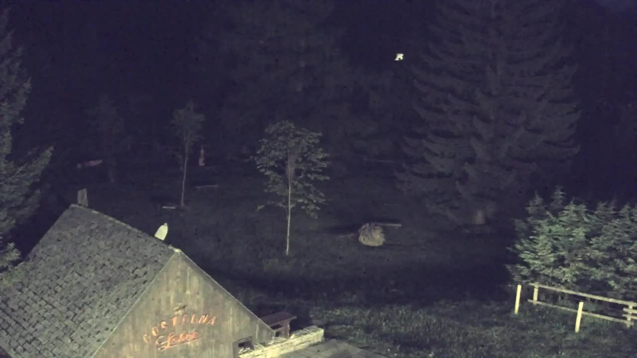 Webcam Lokve – The beauty of the Trnovo forest