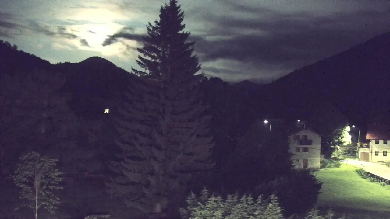 Webcam Loqua / Lokve – La bellezza della selva di Tarnova