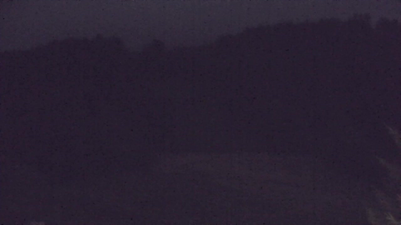 Webcam Lokve – La beauté de la forêt de Trnovo