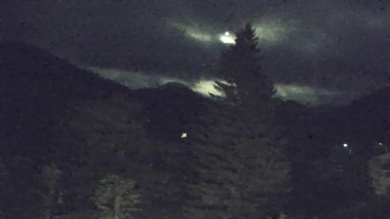 Webcam Lokve – La beauté de la forêt de Trnovo