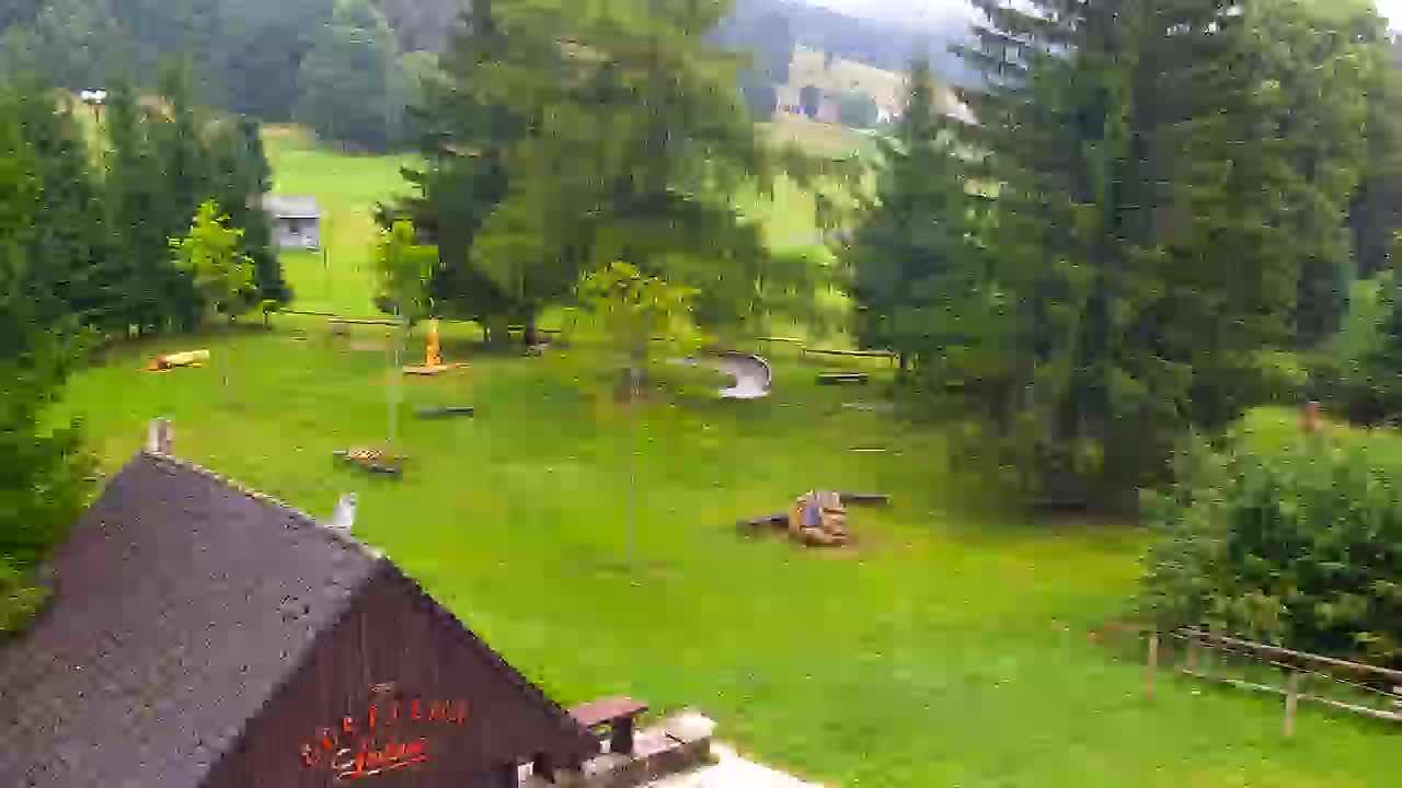 Webcam Lokve – The beauty of the Trnovo forest