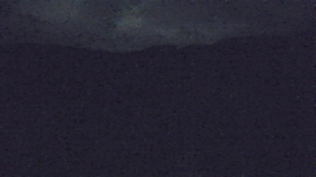 Webcam Lokve – The beauty of the Trnovo forest