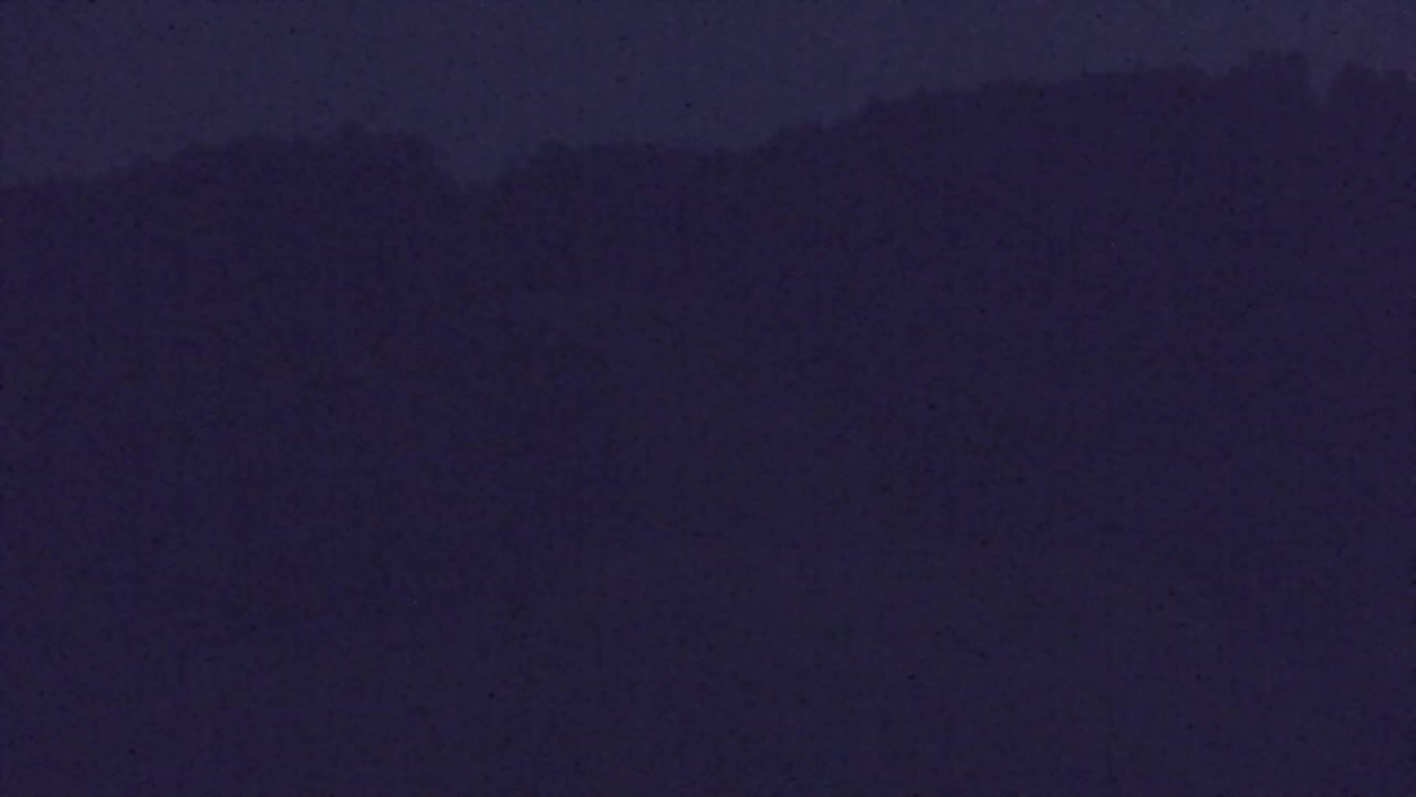 Webcam Loqua / Lokve – La bellezza della selva di Tarnova