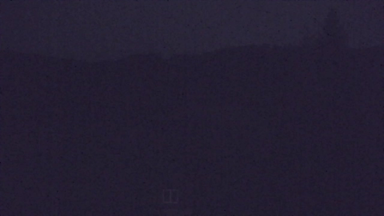 Webcam Loqua / Lokve – La bellezza della selva di Tarnova