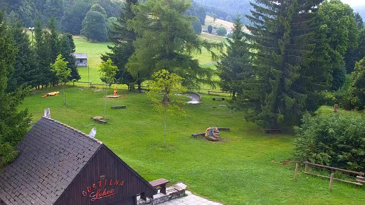 Webcam Loqua / Lokve – La bellezza della selva di Tarnova