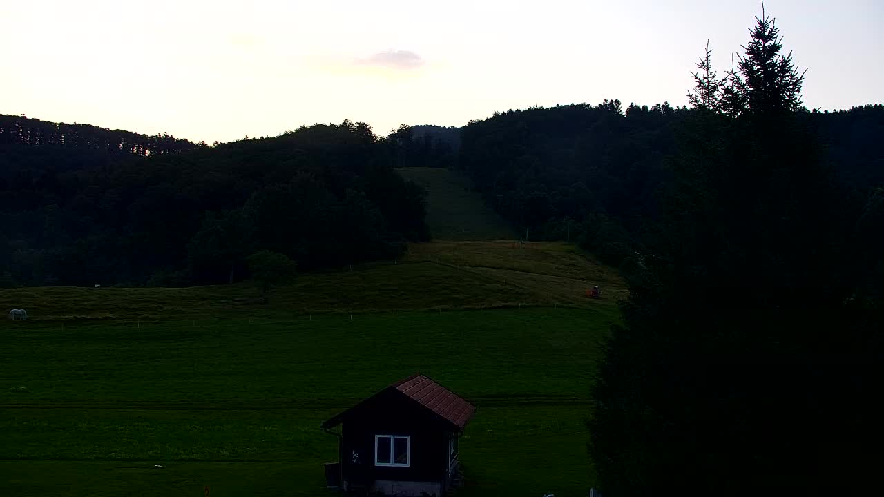 Webcam Loqua / Lokve – La bellezza della selva di Tarnova